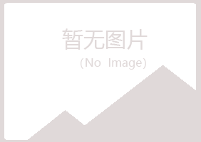 重庆江北女孩制造有限公司